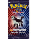 POKÉMON EX: SANDSTORM
